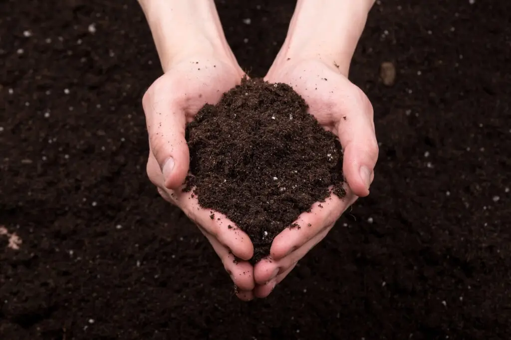 fertilizer in hand
