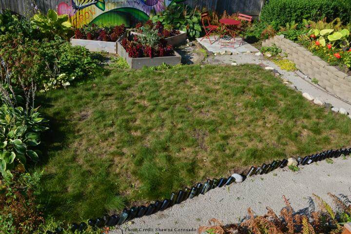 fix your fall lawn