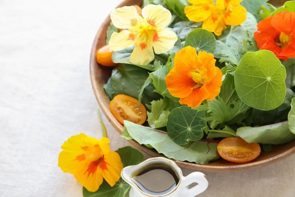 fresh green salad