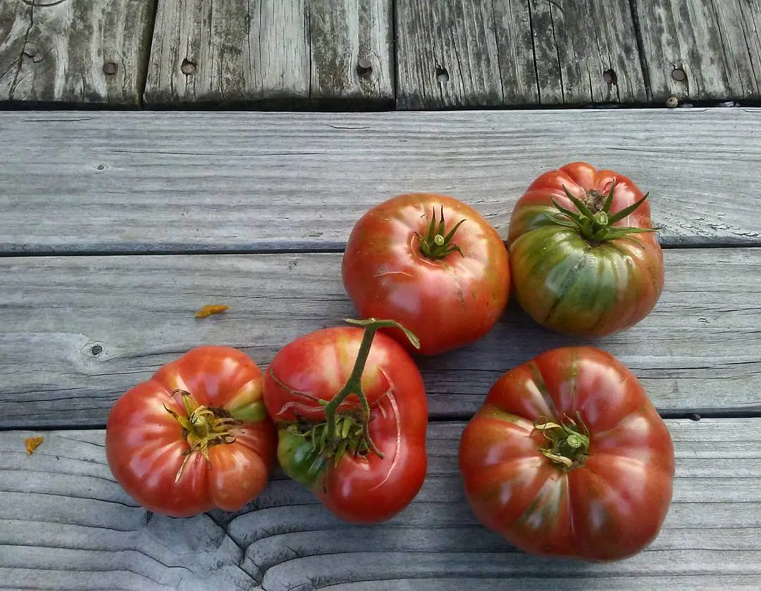 How to make fresh tomato sauce