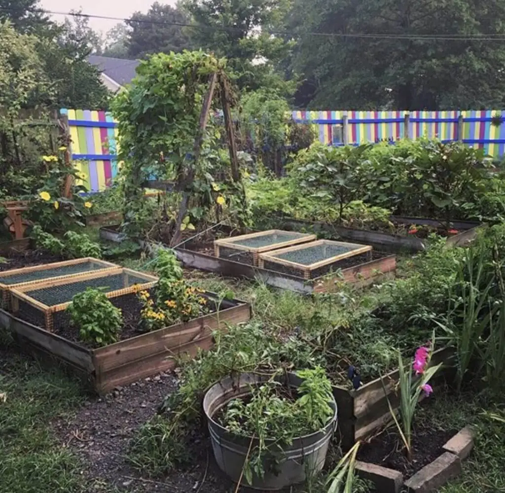 garden makeover