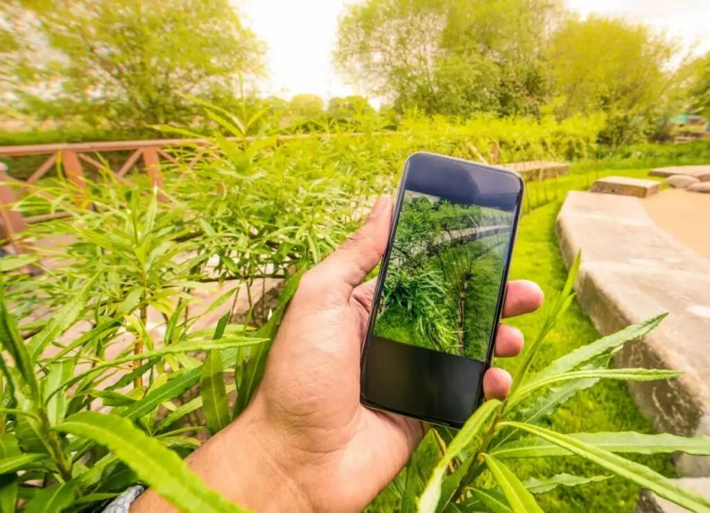 gardening social media