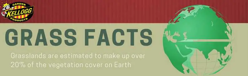 grass facts