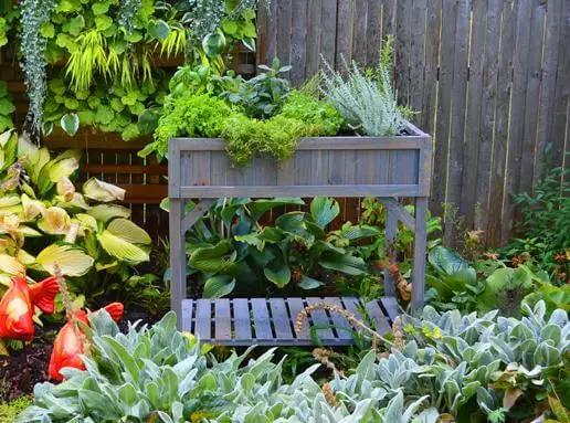 How to Grow Herbs for Tea