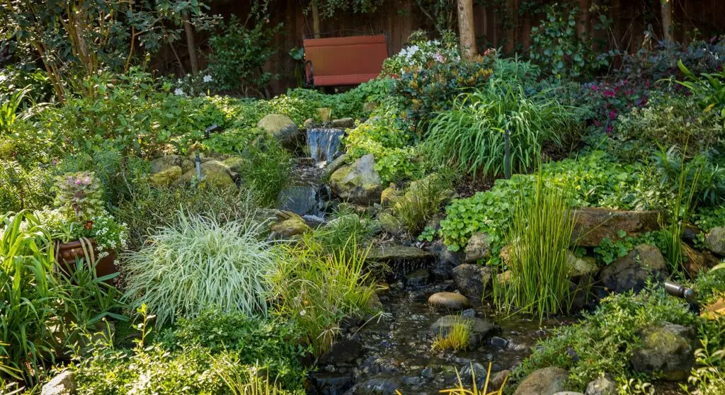 hillside landscaping