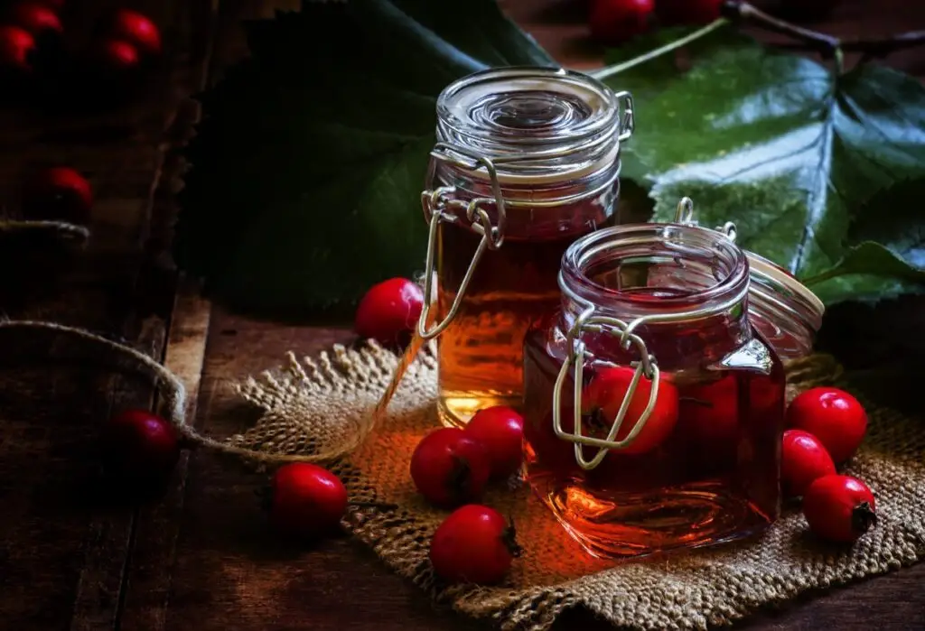 holiday gifts organic harvest