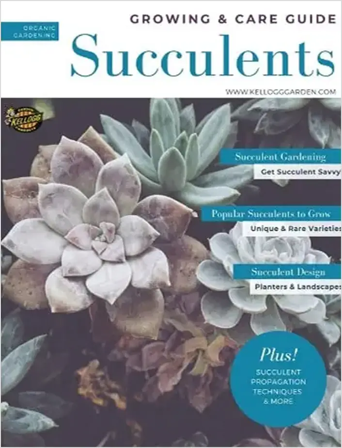succulents guide cover