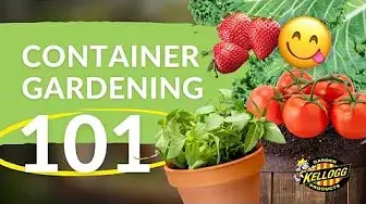 container gardening 101 video thumbnail