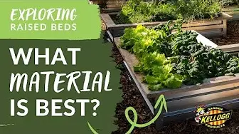 exploring raised beds what material is best thumbnail
