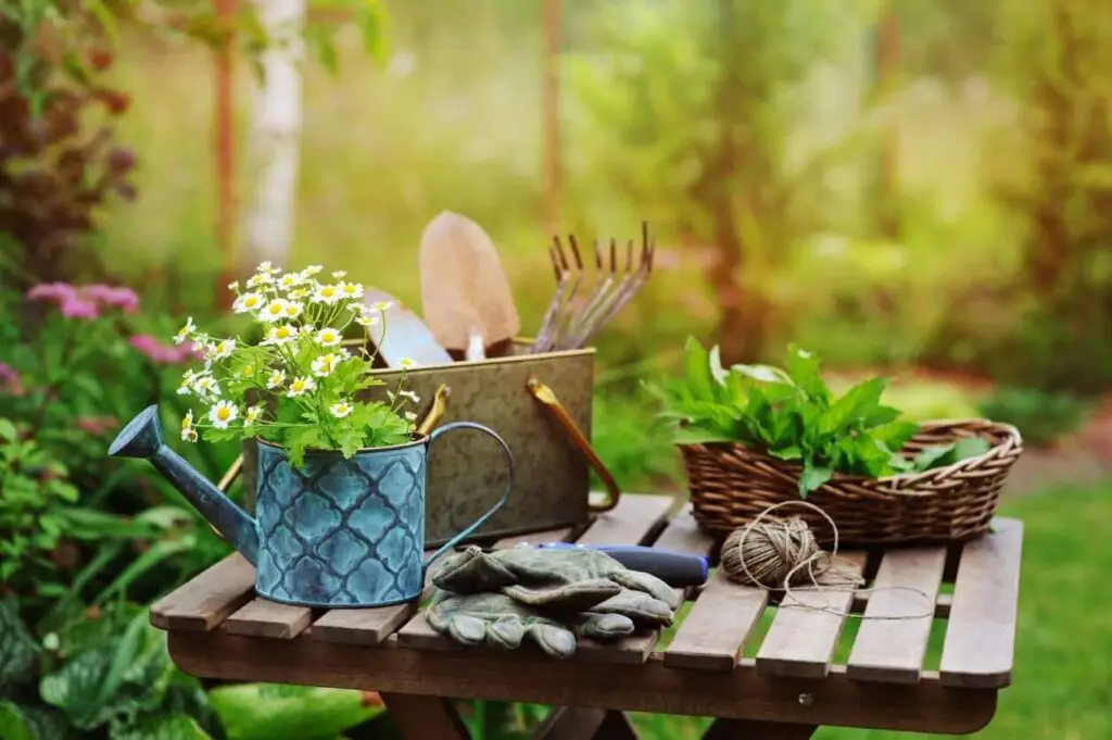 july garden happenings