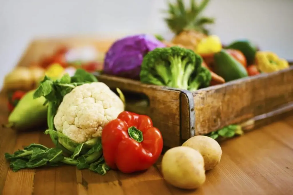 kitchen scraps garden