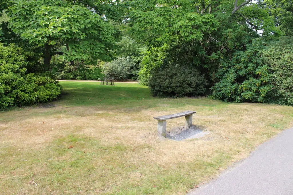 lawn with bench