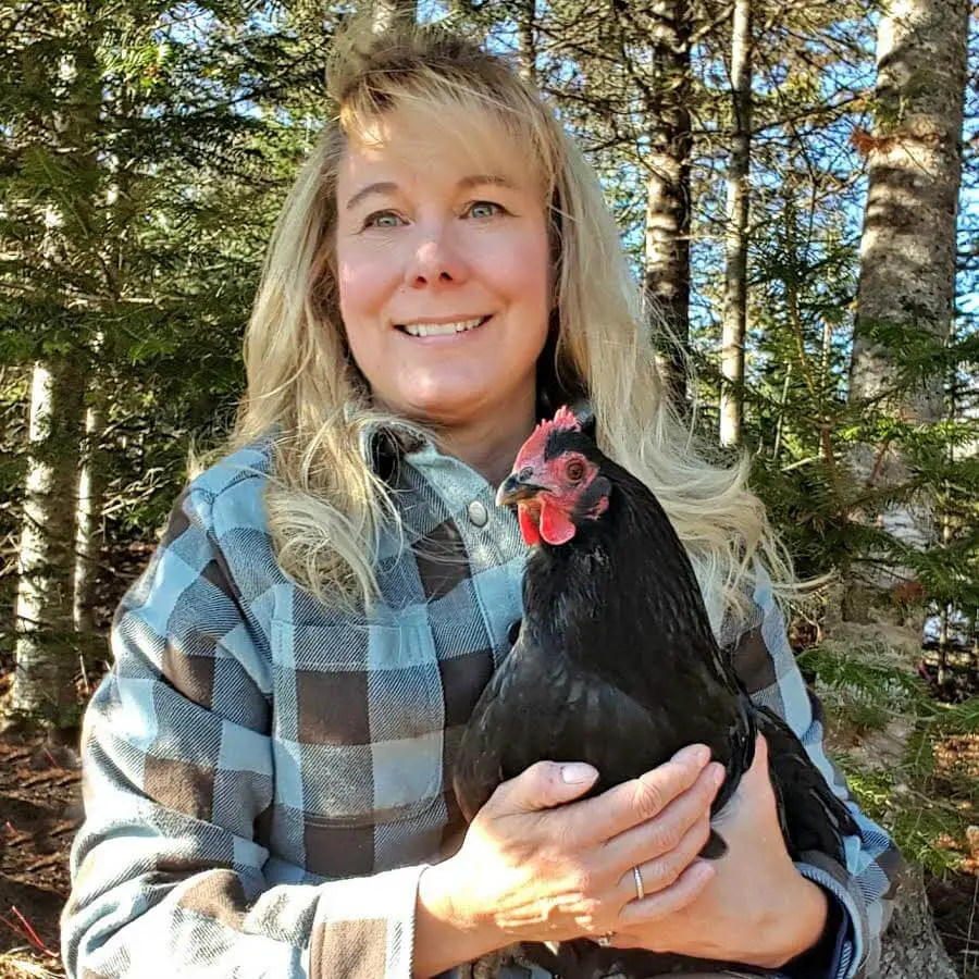 Lisa Steele and Chicken