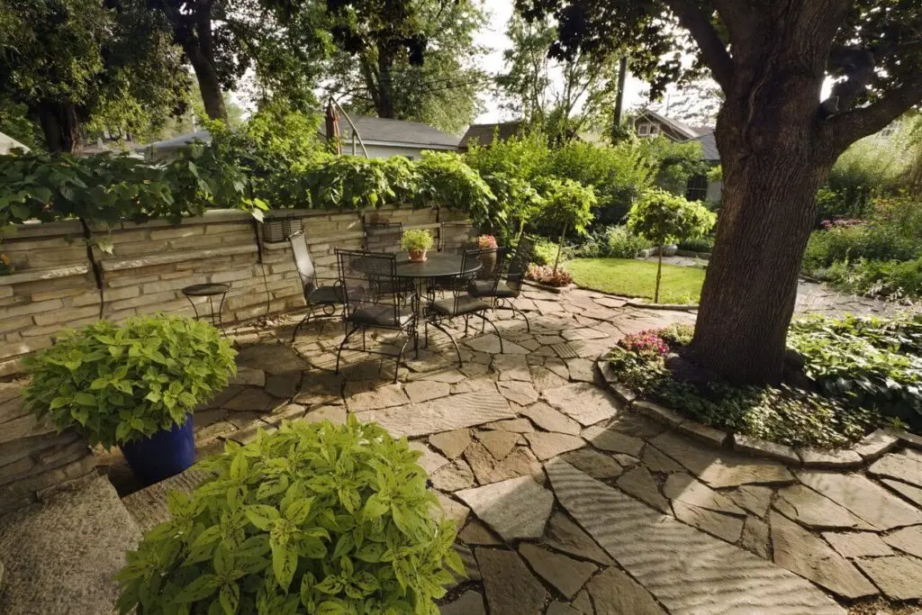 low maintenance lawn