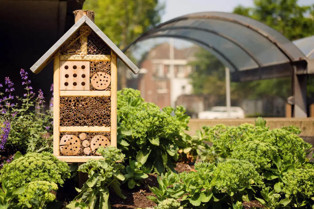 mason bee house