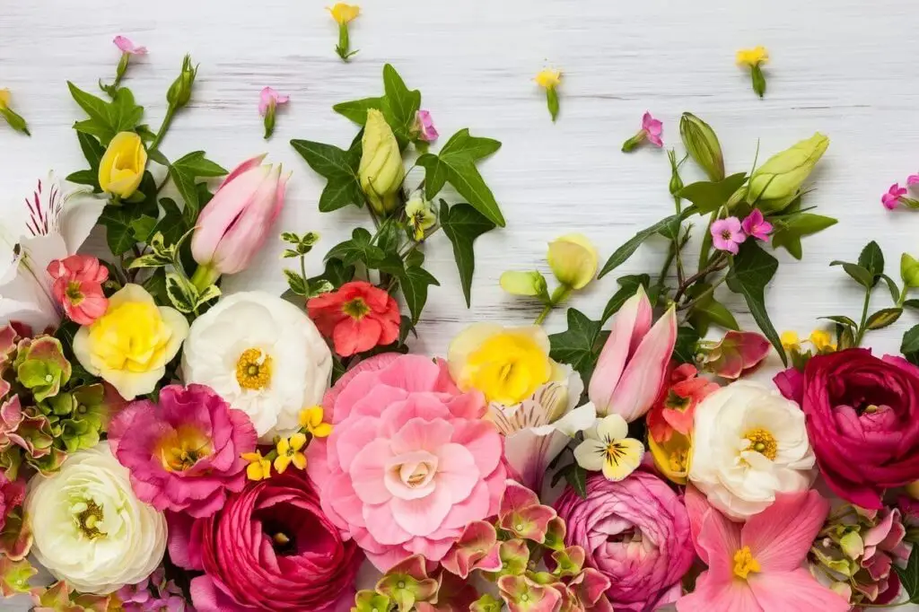 meaning of flowers