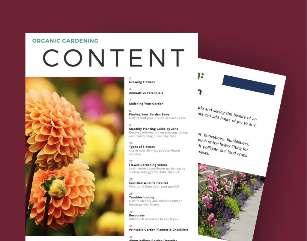 monthly flower guide inside