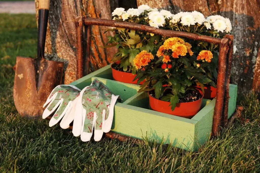 october garden checklist