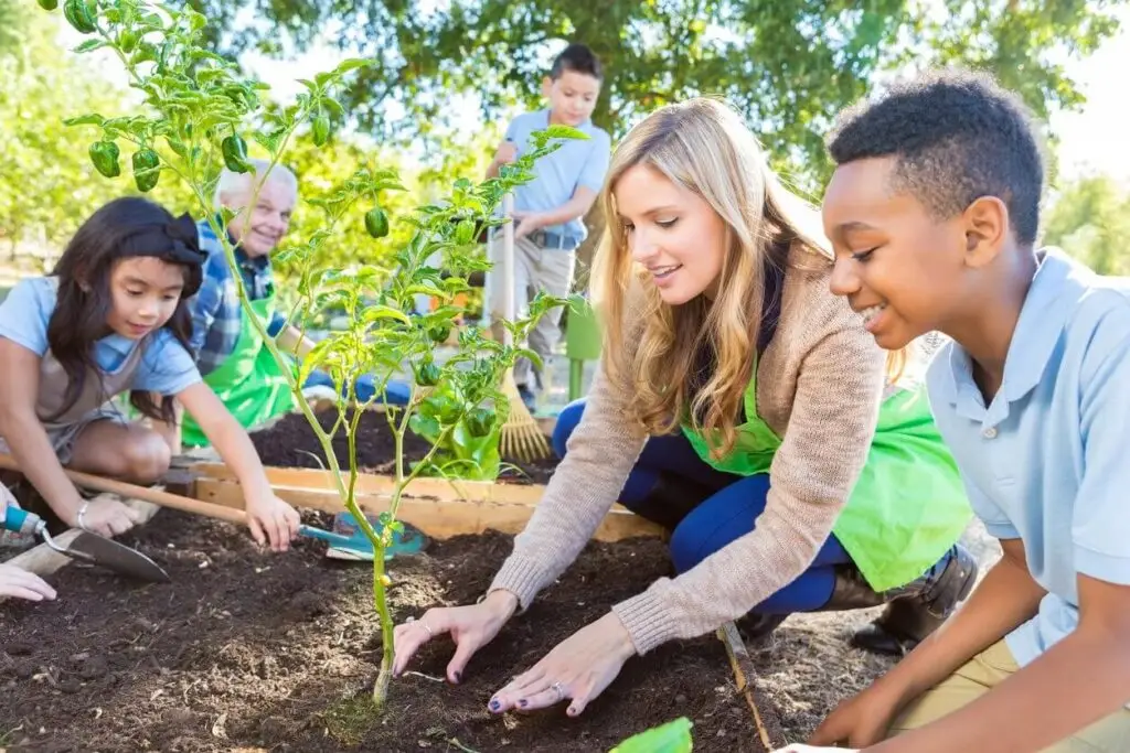 organic school garden