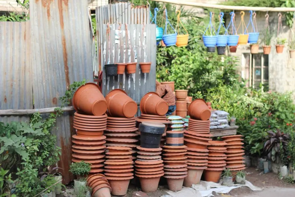 collection of planter pots