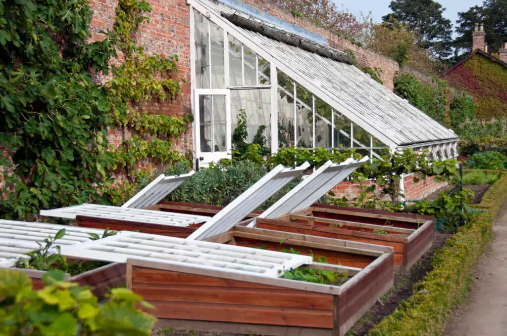 preparing for cold weather garden