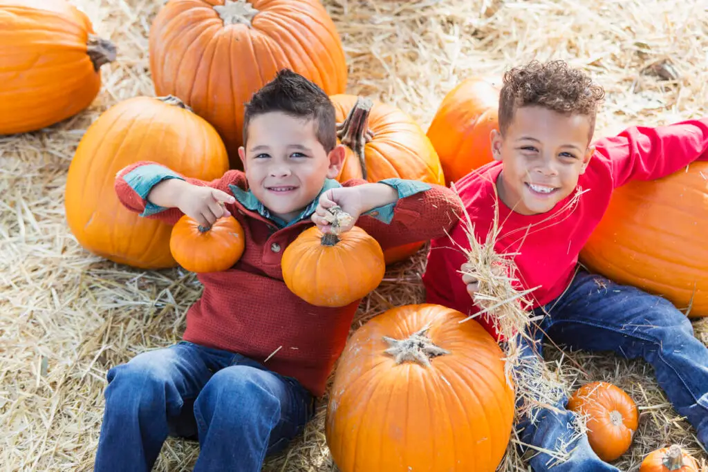 pumpkin hunt