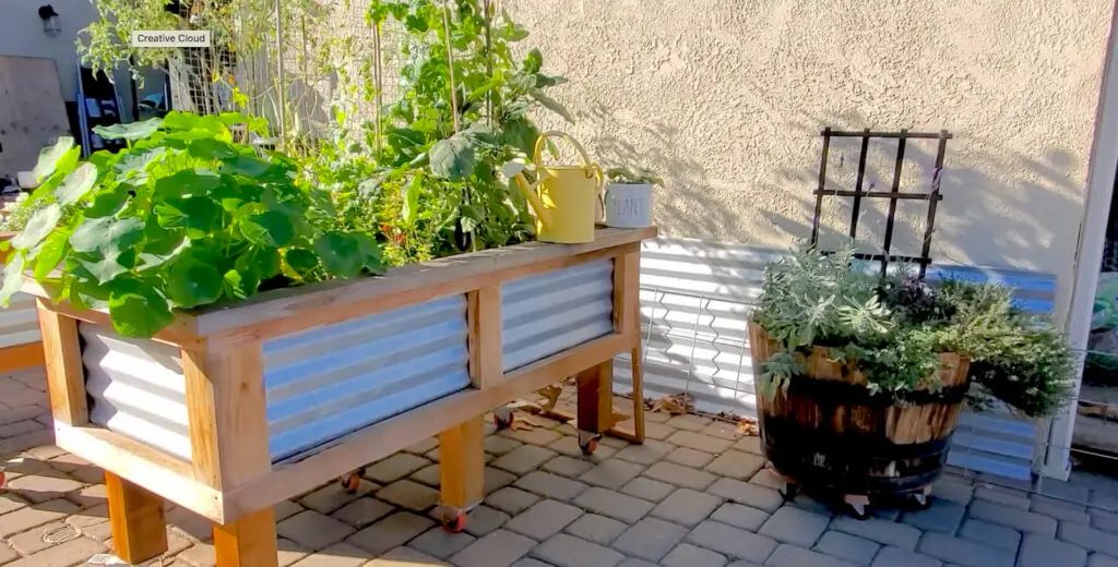raised bed garden planning