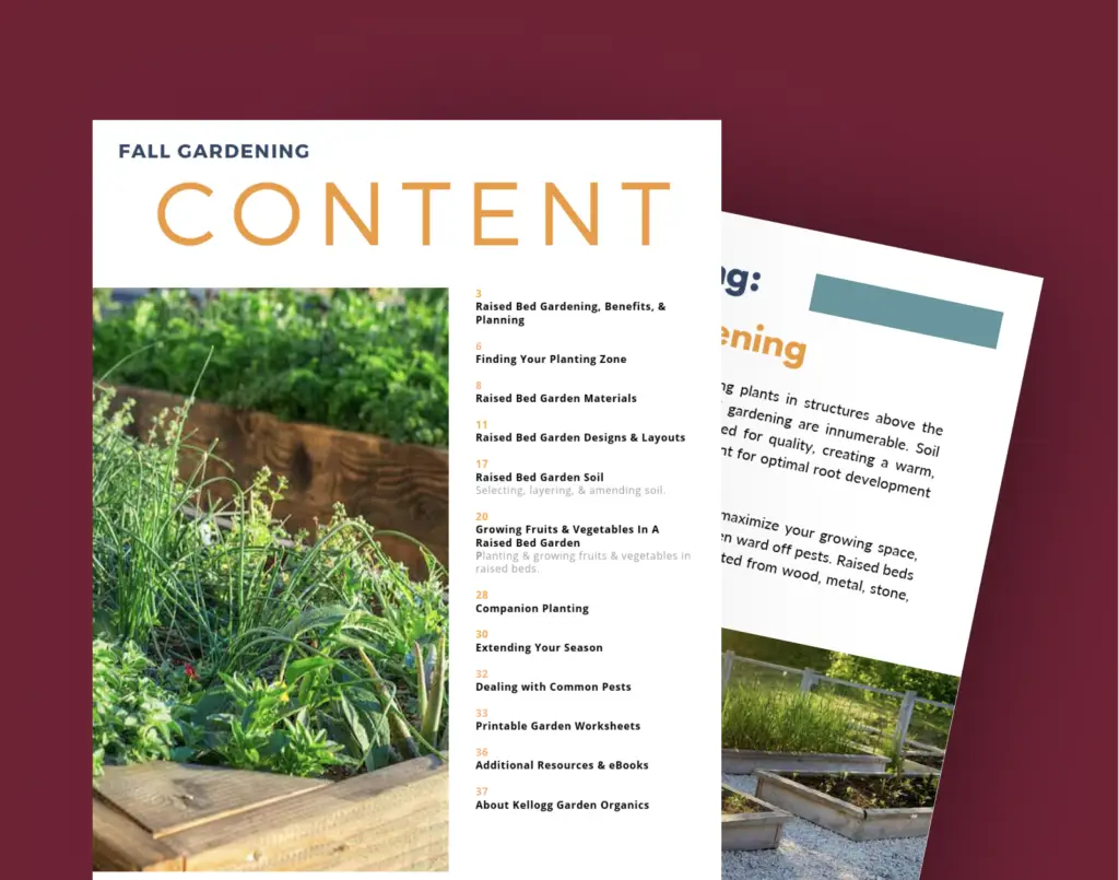 raised bed guide inside