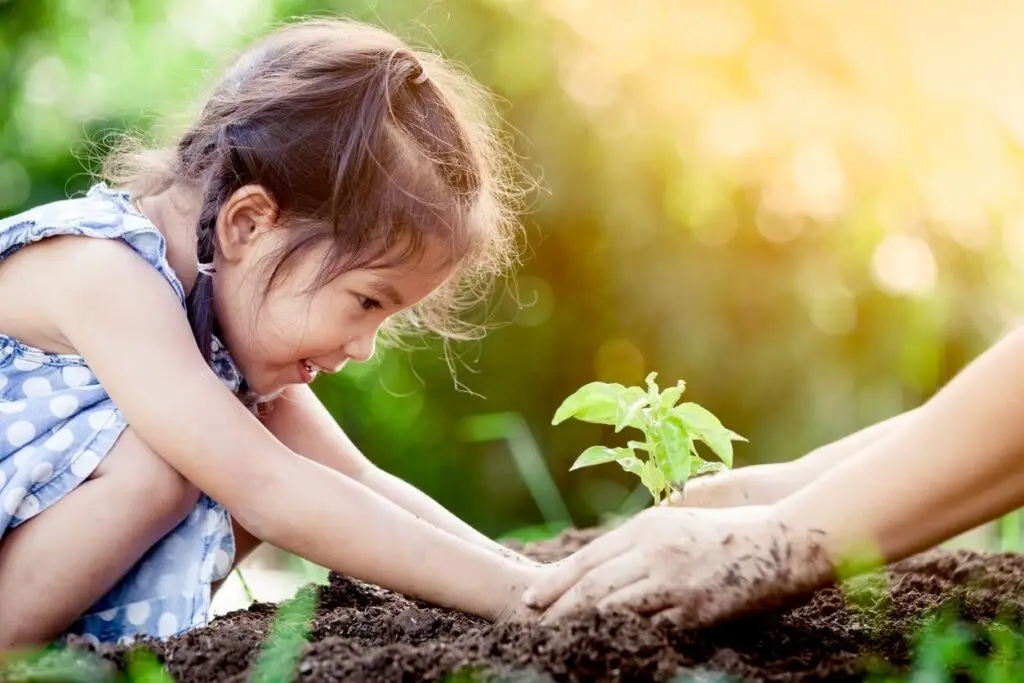 regenerative gardening