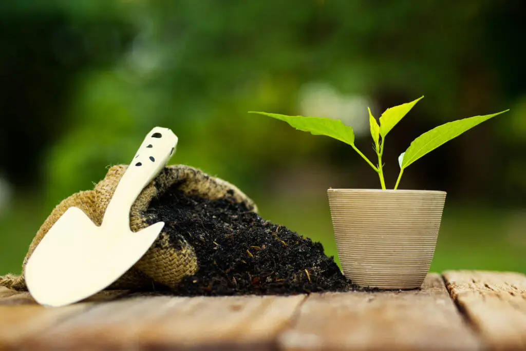 save potting soil