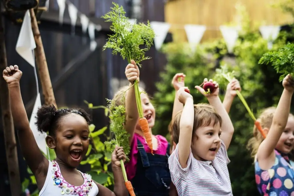 school garden