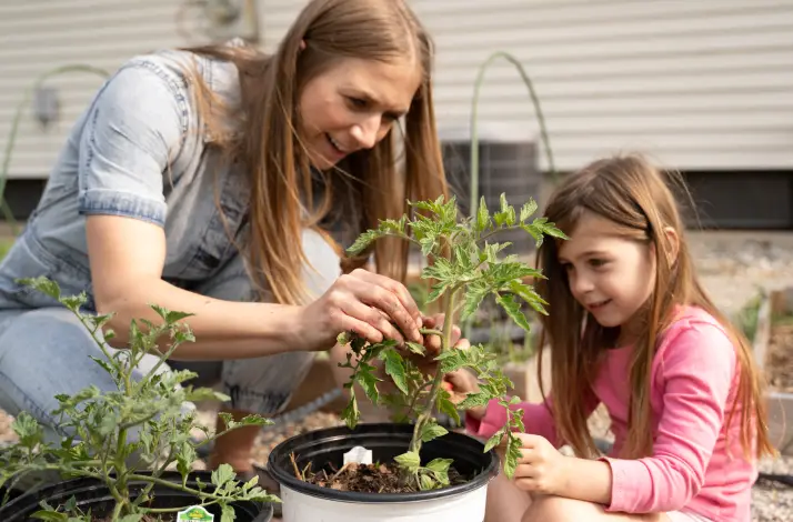 school gardens