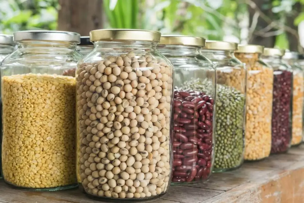 seed savvy