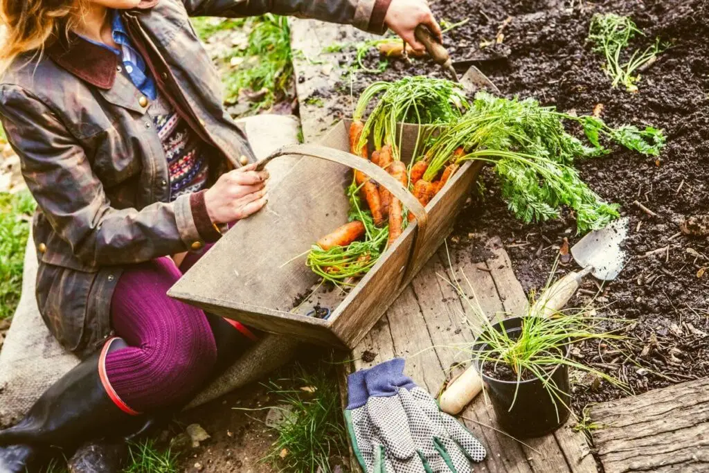 september garden checklist