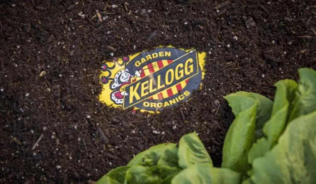 soil