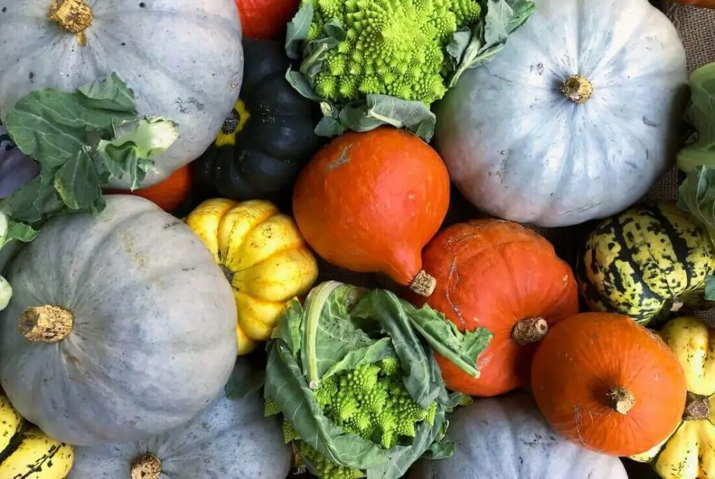 squash