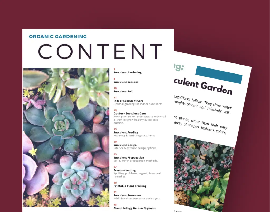 succulent guide inside