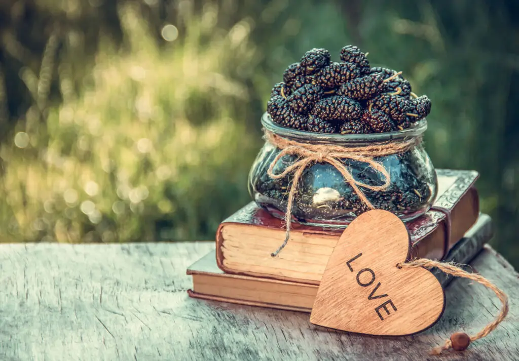 top garden books