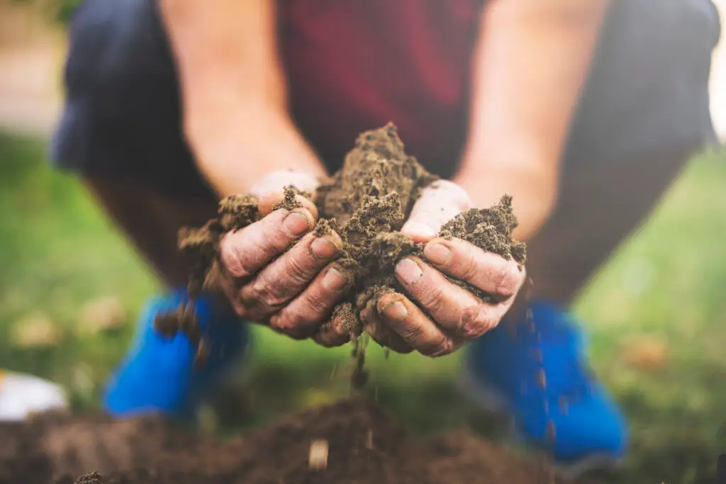topsoil