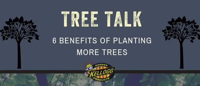 tree talk