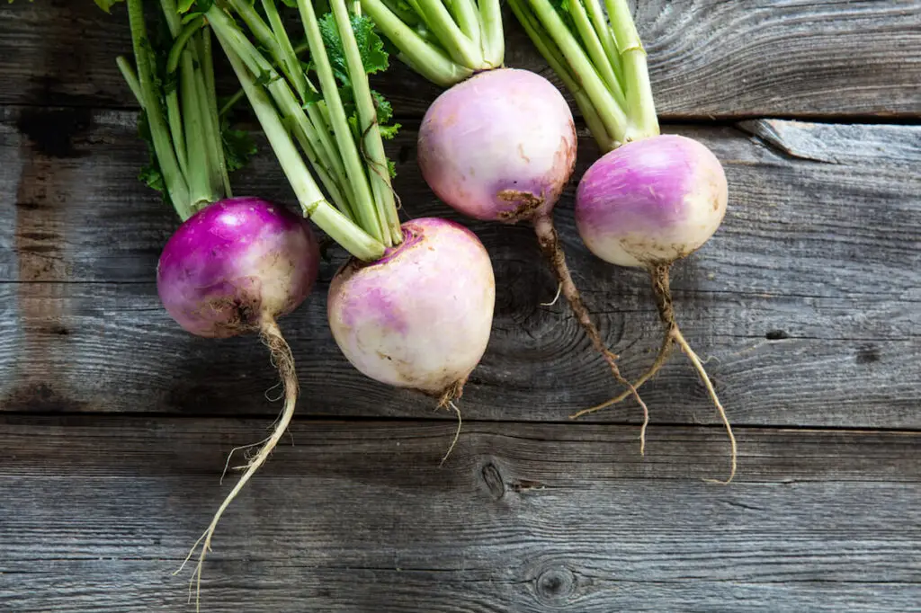 turnips