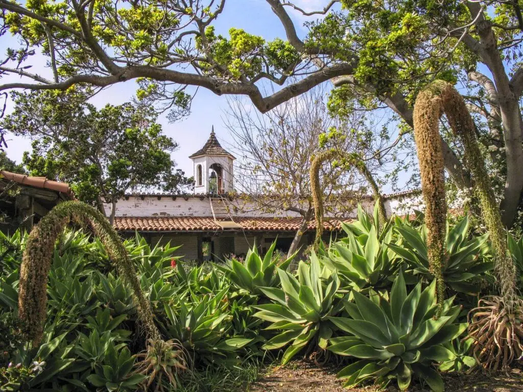 waterwise garden