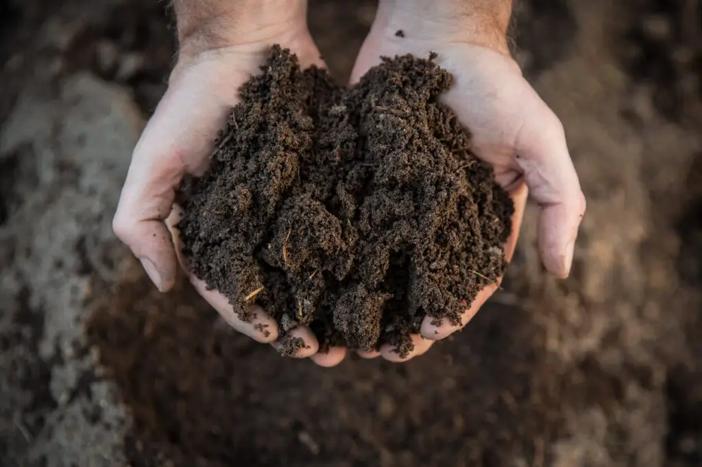 what is organic soil