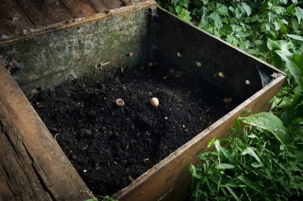 worm composting