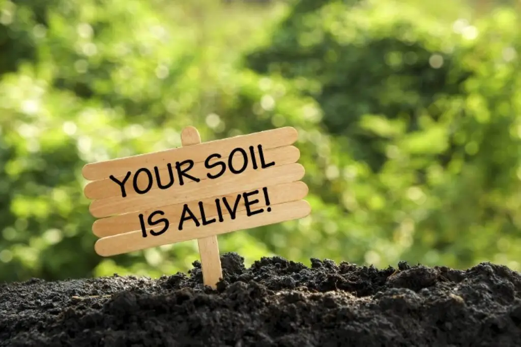 your soil is alive
