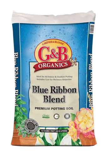 g&b blue ribbon blend